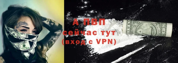 сатива Белокуриха