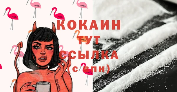 сатива Белокуриха