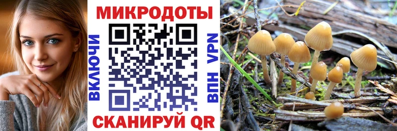 Купить  Красновишерск  Галлюциногенные грибы мицелий 